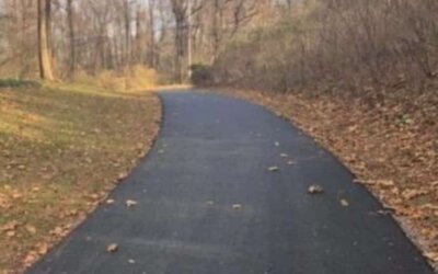 York Asphalt Driveways Contractors | How Much Driveway Paving Cost